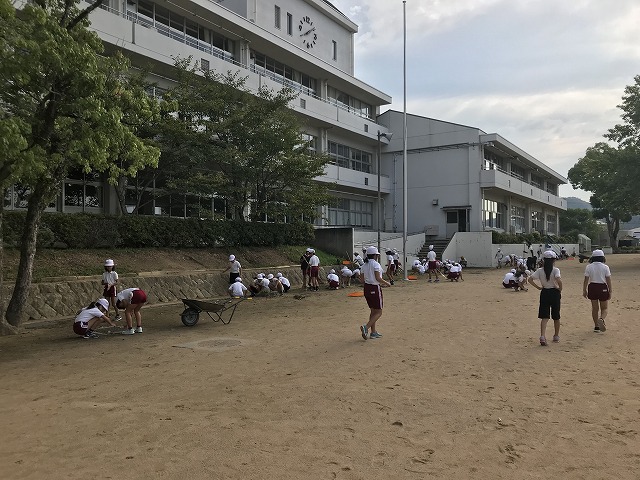 加西市立北条小学校 » クリーン活動