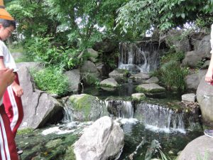 センター 加古川 クリーン