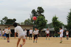 2016062901