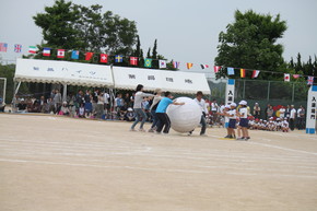 2015052311