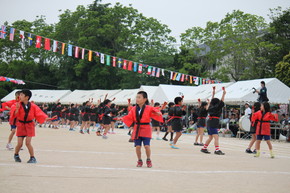 2015052304