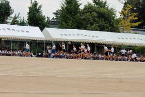 img_6288