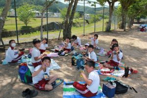 木陰でお弁当を食べています。