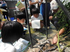 DSCN34211