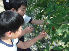 DSCN34241
