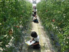 DSCN34781