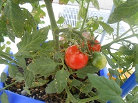 DSCN3133