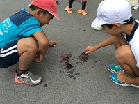 img_1358