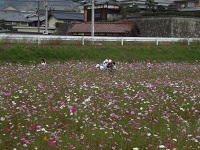 dsc03570