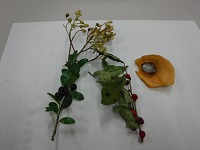 dscf3055