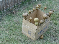 dscn3527