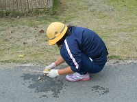 dscn3528